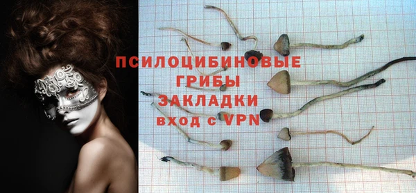 a pvp Алексеевка