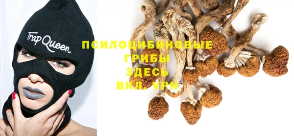 гидропоника Алзамай